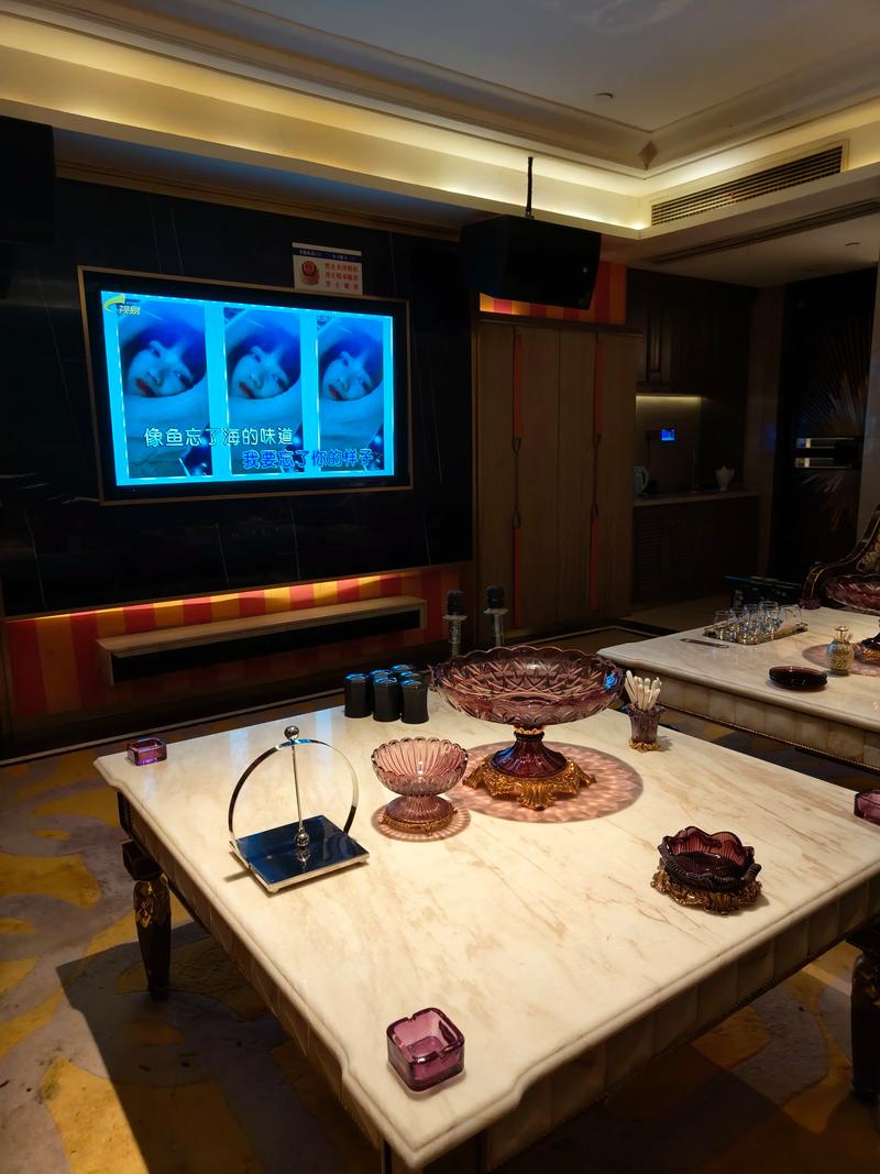 贵港商务ktv商务ktv怎么计时指南-港北区ktv预定